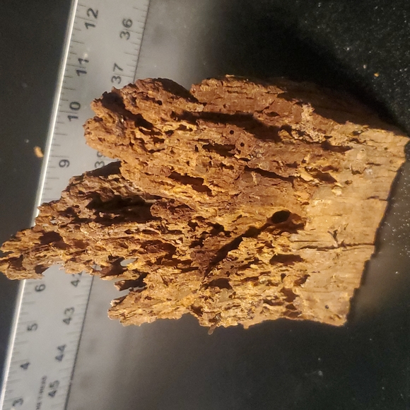 Awesome destroyed holey wood for resin projects, arts & crafts, decor, etc - Picture 6 of 9